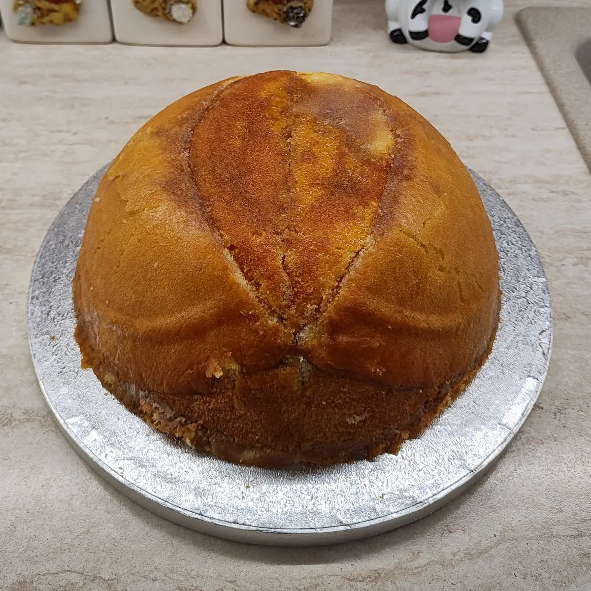 Torta cervello - foto 16