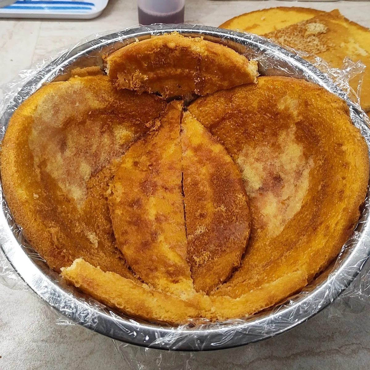 Torta cervello - foto 4